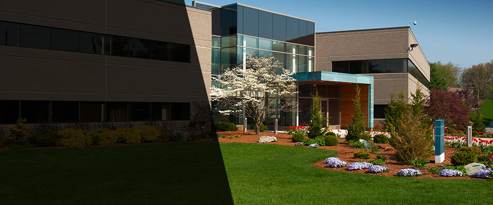 Candia Landscapers