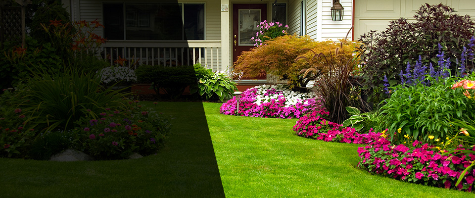 Candia Landscapers