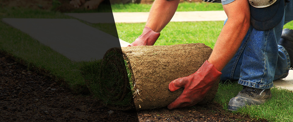 Candia Landscapers